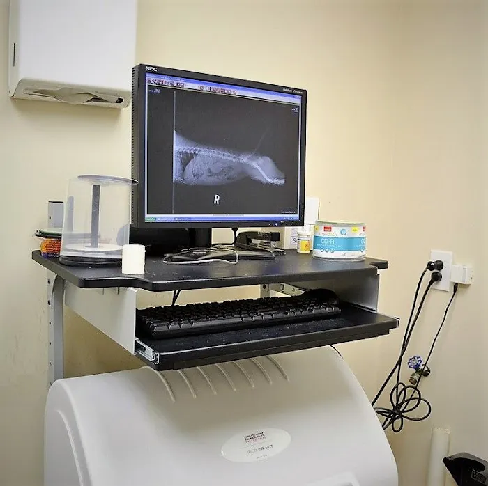 VCA County Veterinary Hospital 3