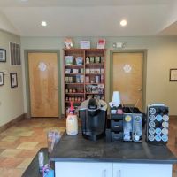 VCA County Veterinary Hospital ico
