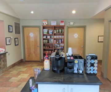VCA County Veterinary Hospital