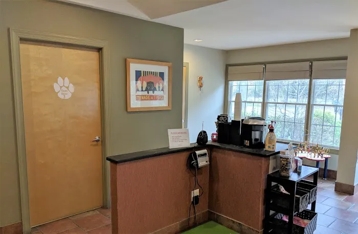 VCA County Veterinary Hospital 5