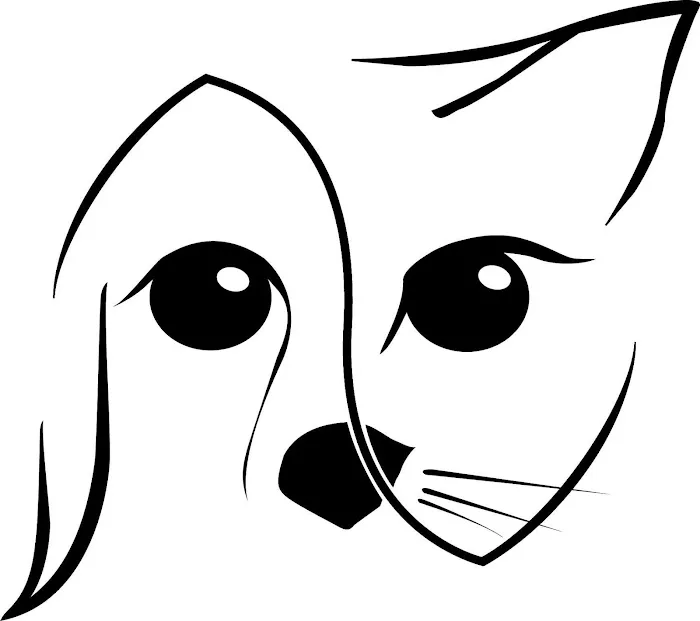 ZenVet 2