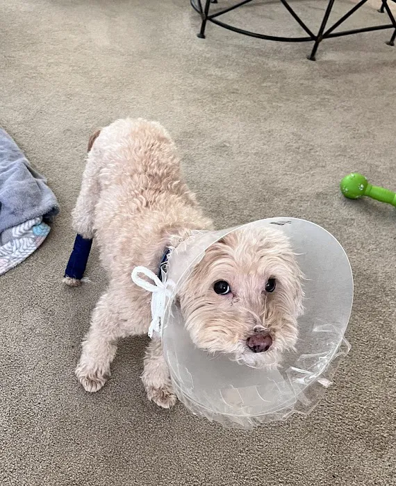 Ark Animal Hospital 9