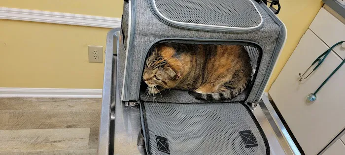 Hatfield Veterinary Clinic 7