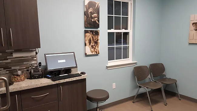 North Penn Animal Hospital 1