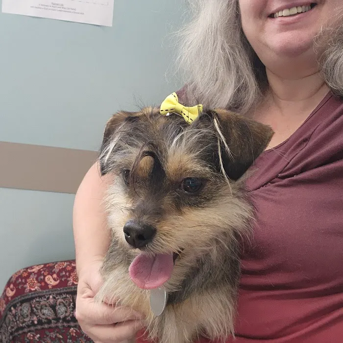 North Penn Animal Hospital 8
