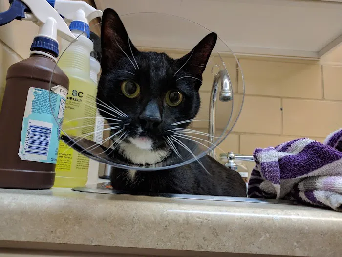 North Penn Animal Hospital 7