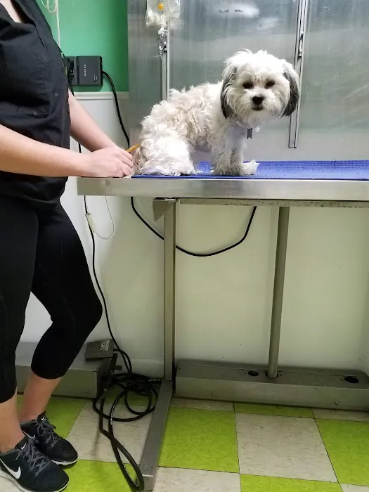 Pottsgrove Animal Hospital 1