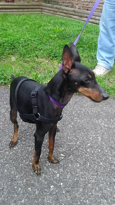 Pottsgrove Animal Hospital 4