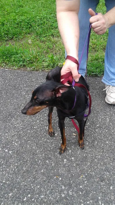 Pottsgrove Animal Hospital 6