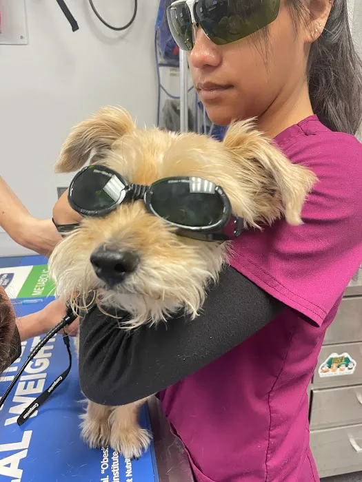 Telford Veterinary Hospital 5
