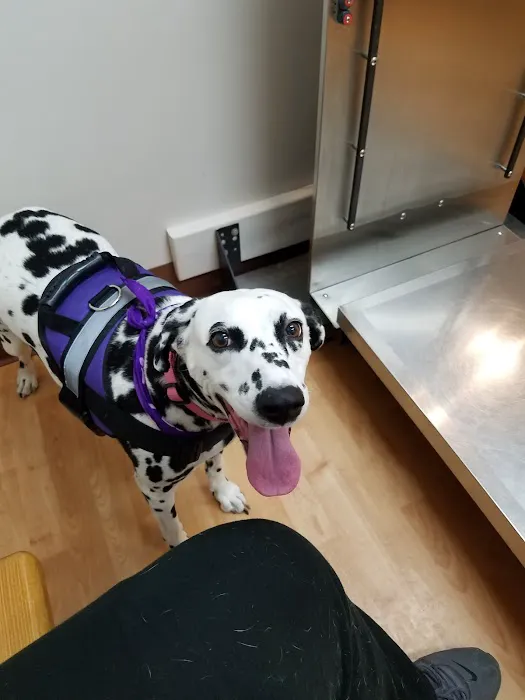Telford Veterinary Hospital 2