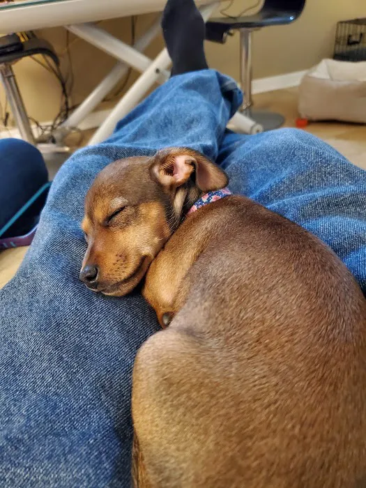 Indian Valley Animal Hospital 5