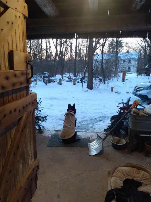 Indian Valley Animal Hospital 4