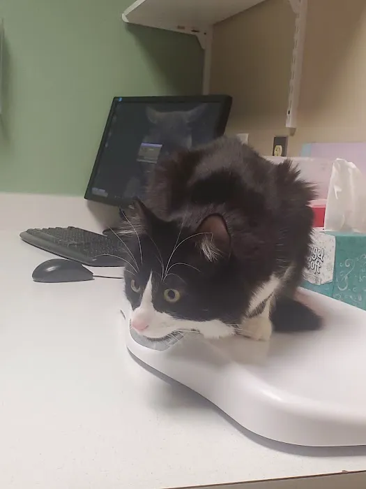 Indian Valley Animal Hospital 2