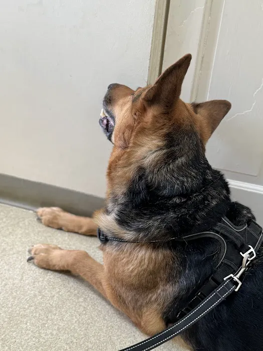 Buckingham Animal Hospital 5