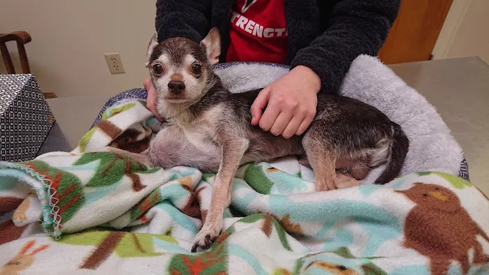 Buckingham Animal Hospital 6