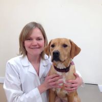 Lauren Hakkinen, VMD ico