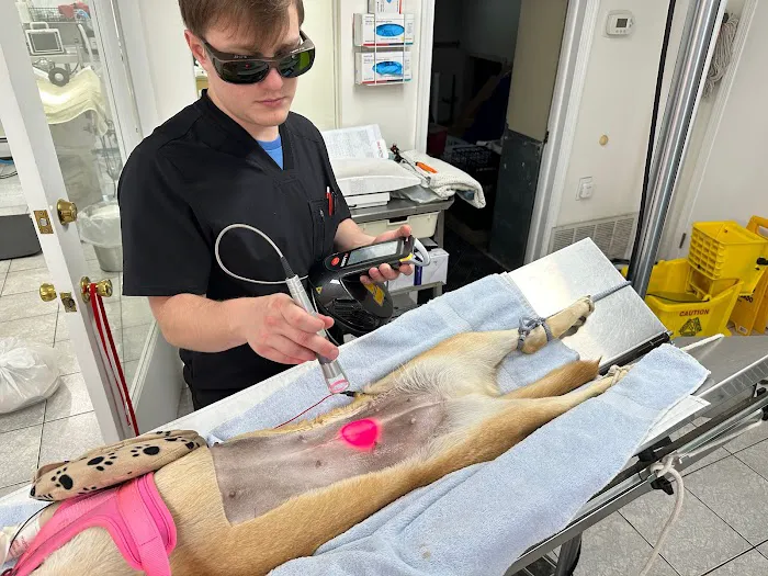 Holicong Valley Veterinary Center 5