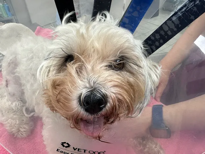 Holicong Valley Veterinary Center 7