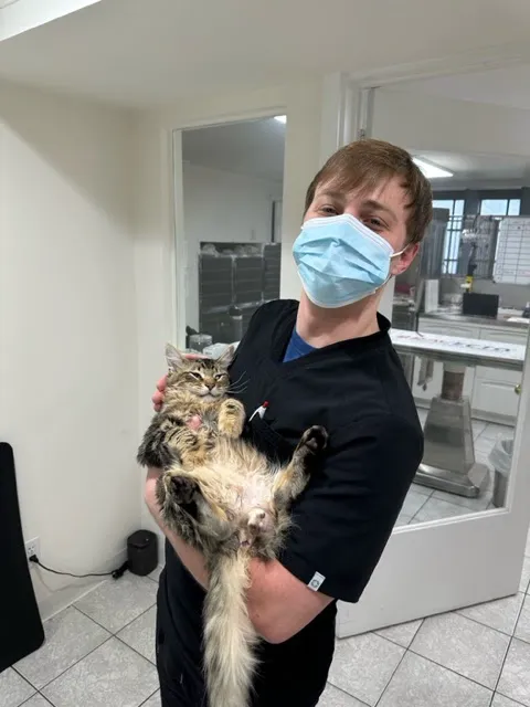 Holicong Valley Veterinary Center 9