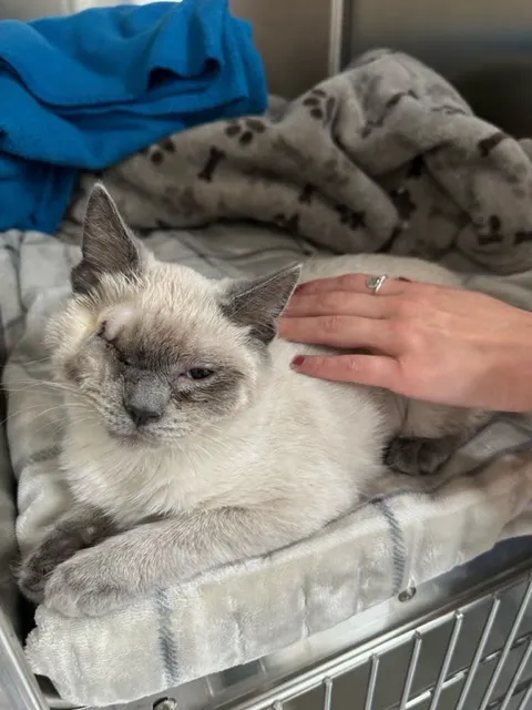 Holicong Valley Veterinary Center 10