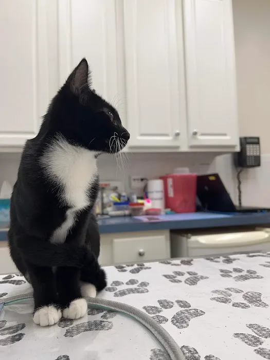 Piper Veterinary Clinic 6
