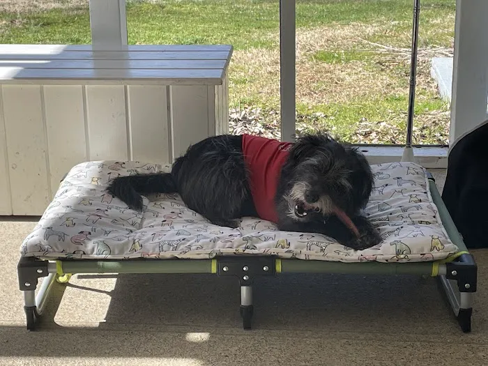 Piper Veterinary Clinic 7