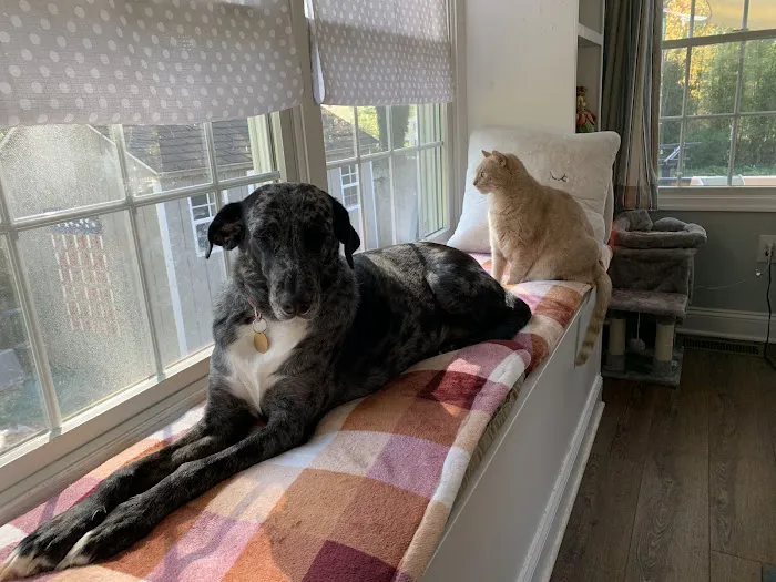 Washington Crossing Animal Hospital 3