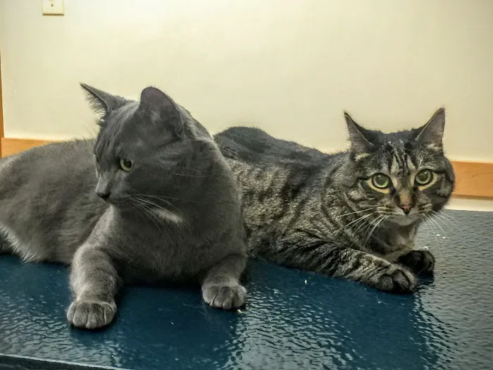 Washington Crossing Animal Hospital 1