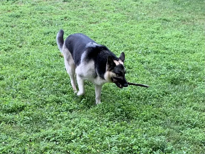 Washington Crossing Animal Hospital 6
