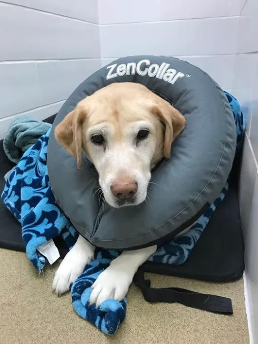 Janssen Veterinary Clinic 12