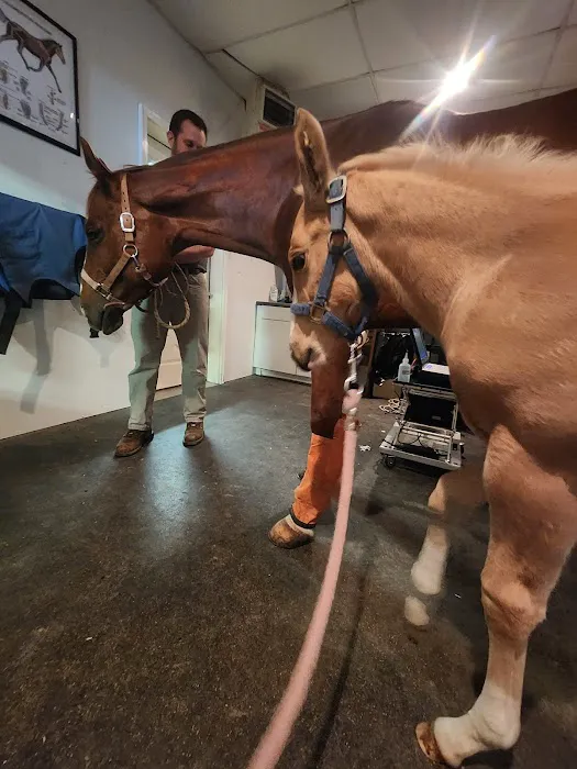 Janssen Veterinary Clinic 12