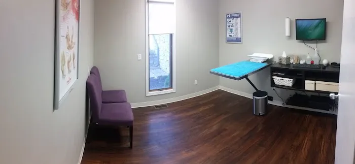 Four Loving Paws Veterinary Services Inc 3