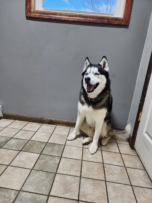 Royer Veterinary Services 12