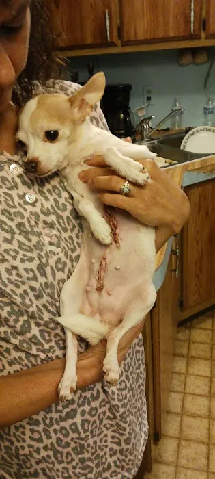 Tucker Veterinary Clinic 4