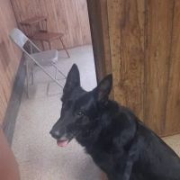 Tucker Veterinary Clinic ico