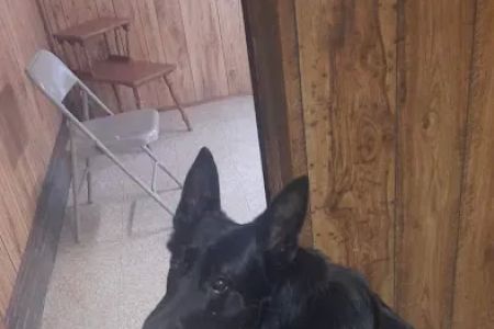 Tucker Veterinary Clinic