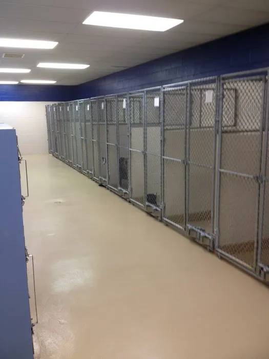 Paws Inn Animal Hospital 12