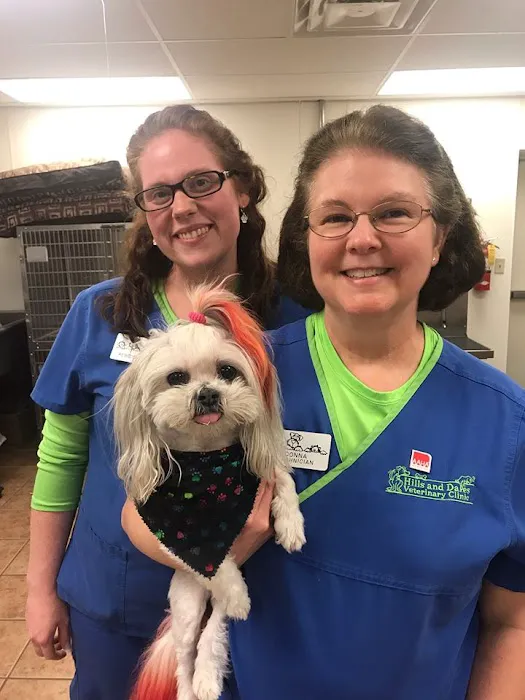 Hills and Dales Veterinary Clinic 6