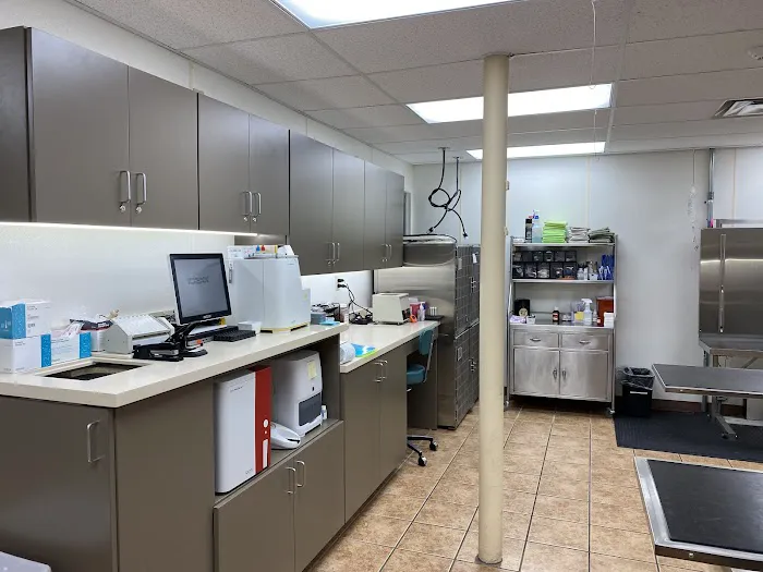 Hills and Dales Veterinary Clinic 4