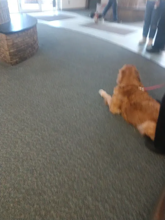 Beavercreek Animal Hospital: Wireman T J DVM 2
