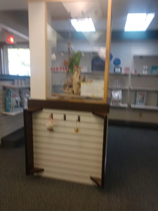 Beavercreek Animal Hospital: Wireman T J DVM 1