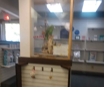 Beavercreek Animal Hospital: Wireman T J DVM