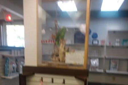 Beavercreek Animal Hospital: Wireman T J DVM