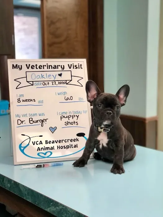 VCA Beavercreek Animal Hospital 1