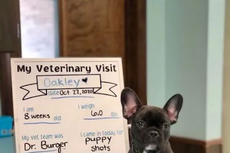 VCA Beavercreek Animal Hospital