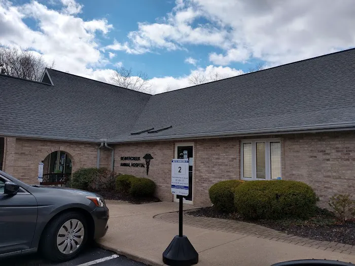 VCA Beavercreek Animal Hospital 5
