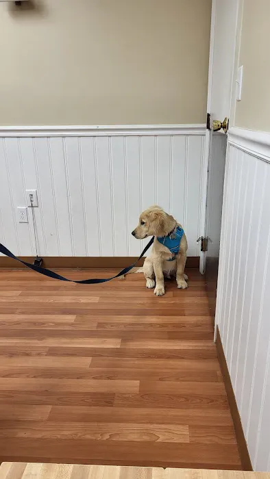 Alpha Veterinary Clinic 12