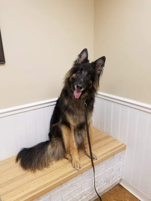 Alpha Veterinary Clinic 12