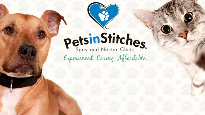 Pets In Stitches 12
